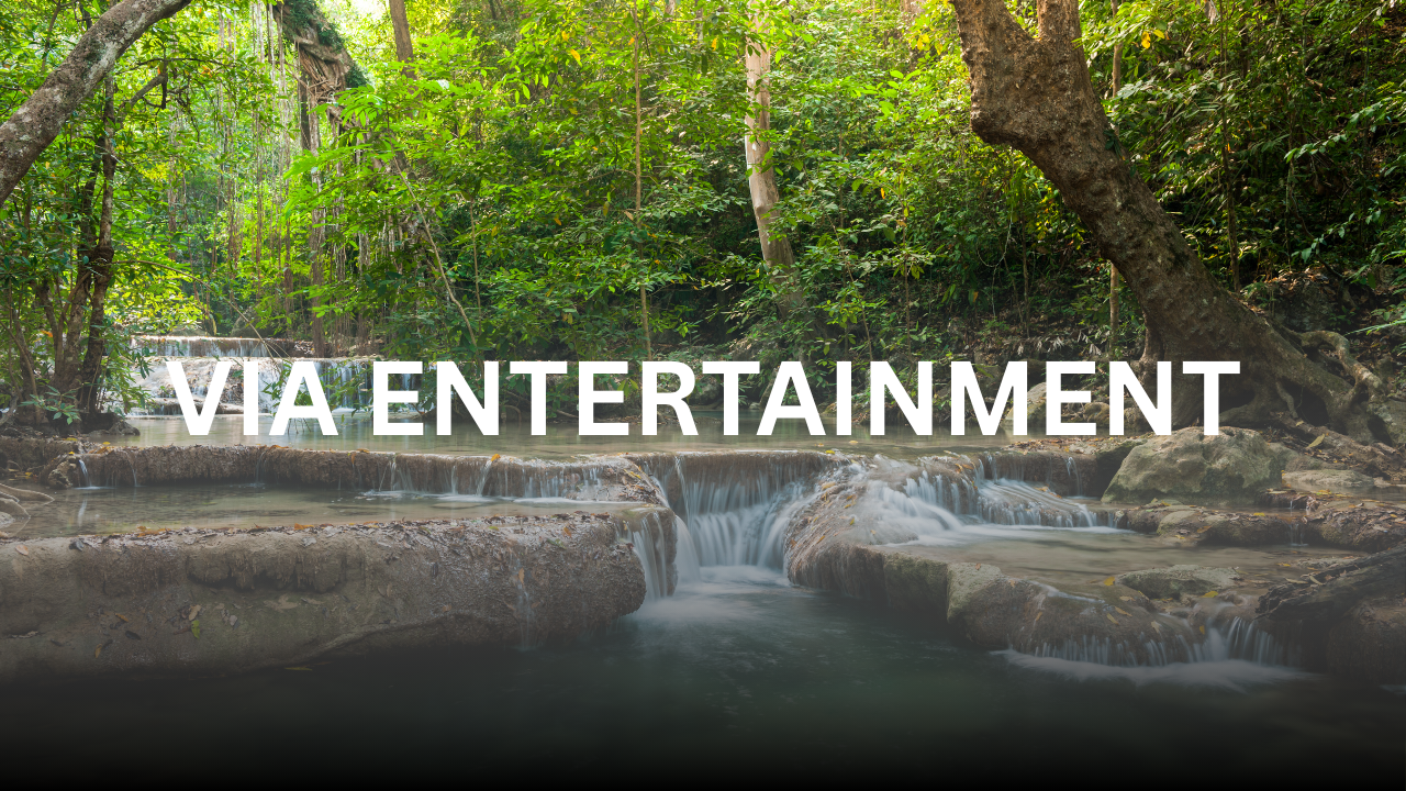 Via Entertainment