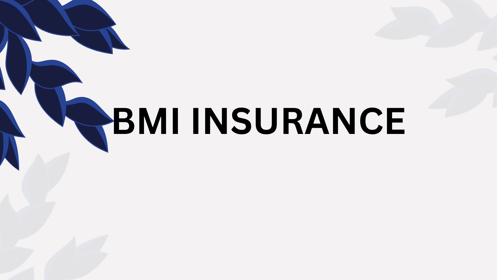 BMI Insurance
