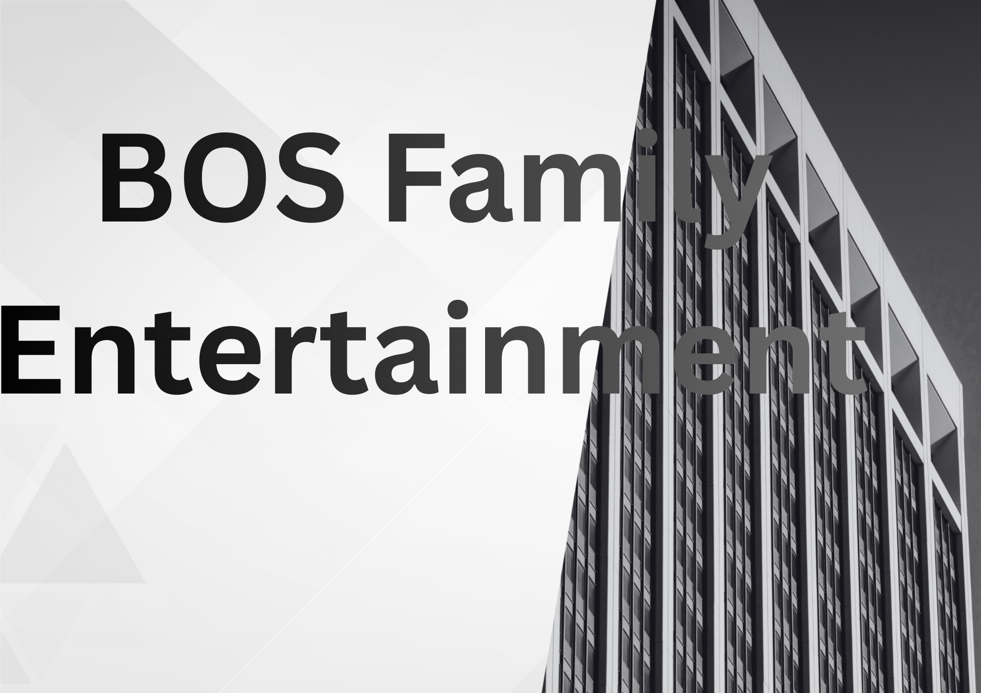 BOS Family Entertainment 