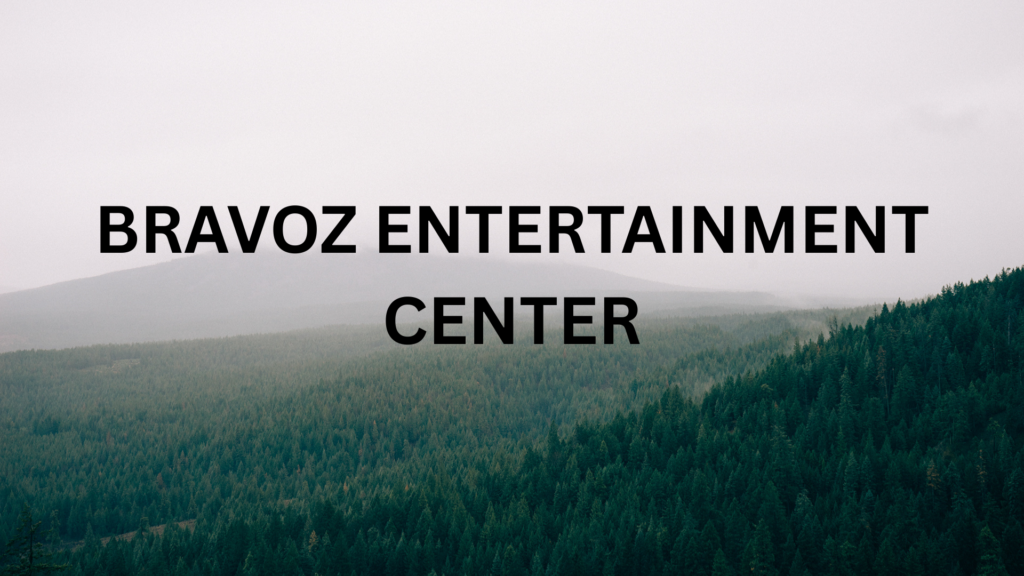 Bravoz entertainment center