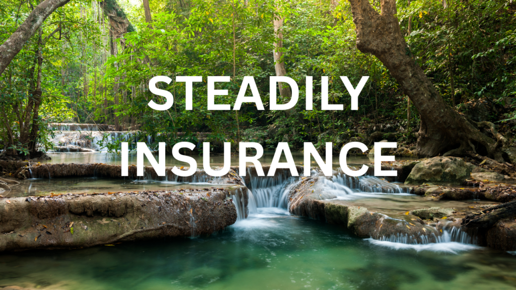 Steadily Insurance