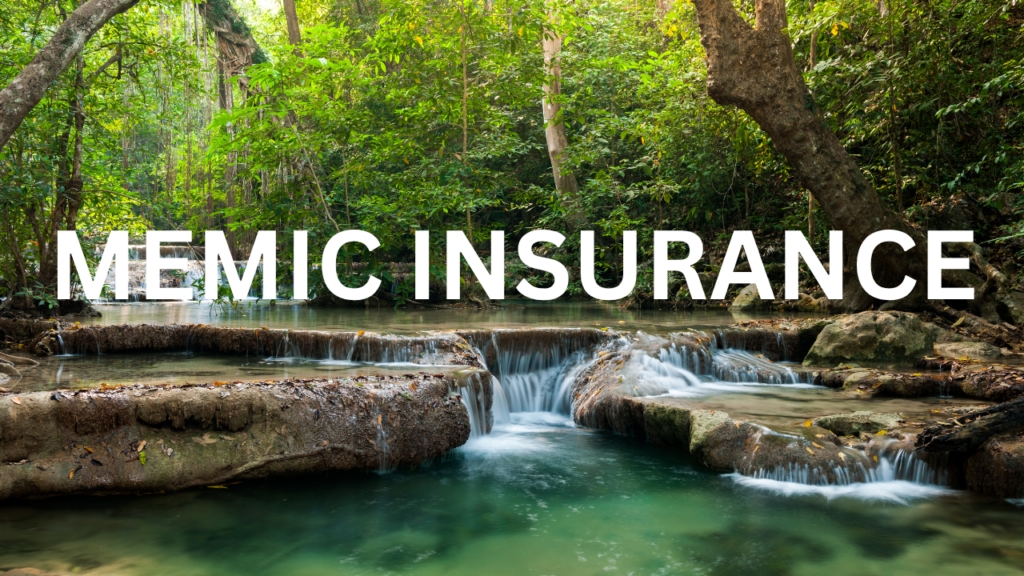 MEMIC Insurance