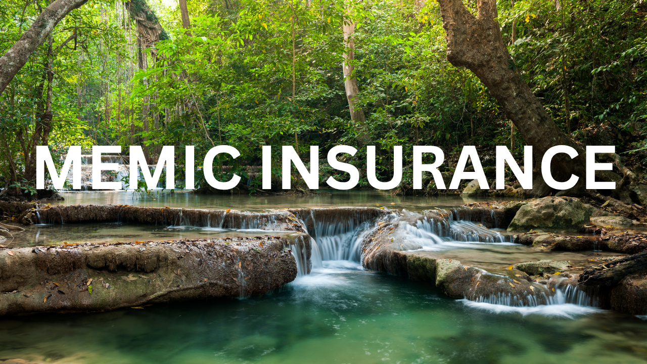 MEMIC Insurance