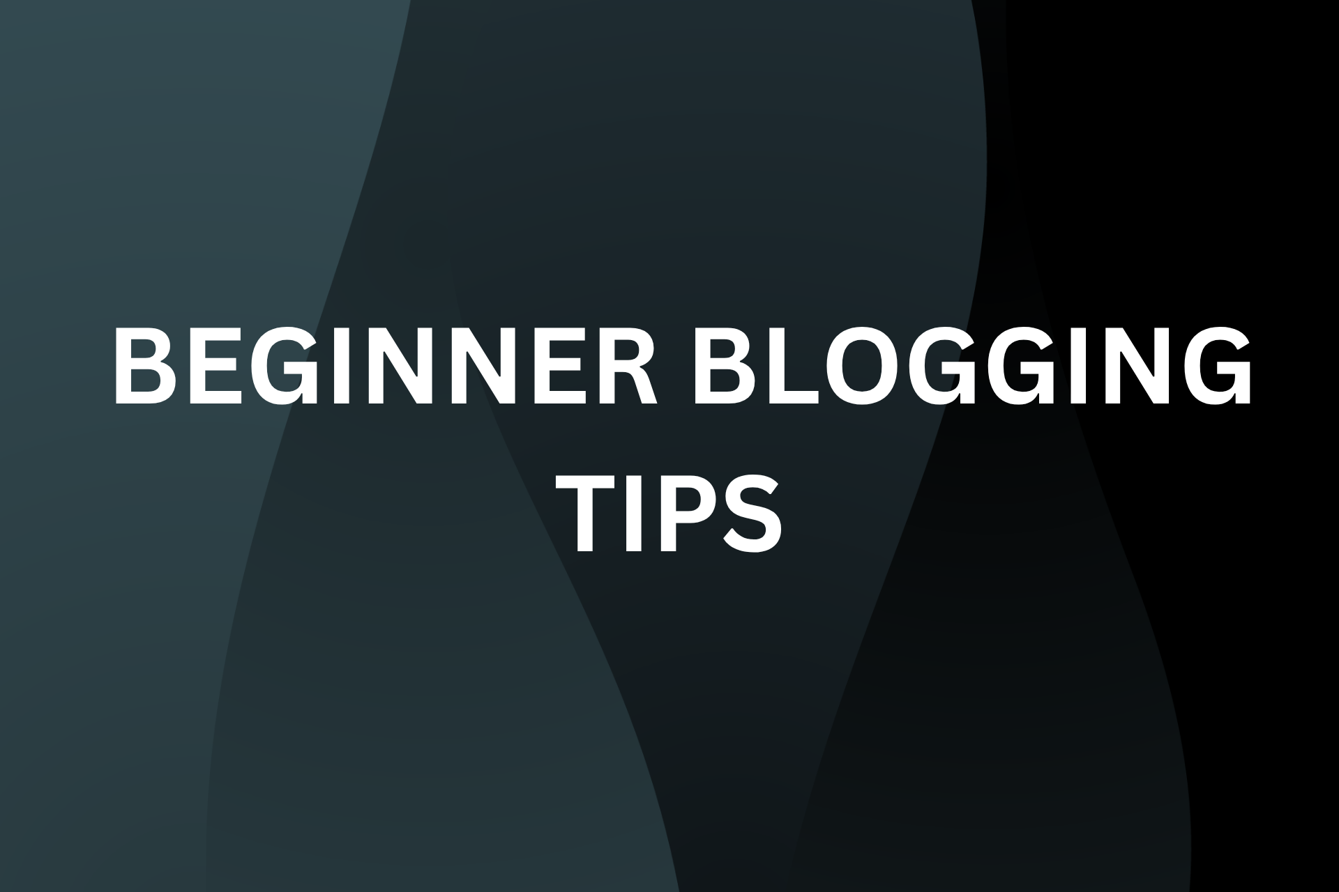 beginner Blogging Tips