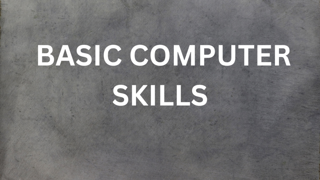 Basic computer skills
