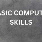 Basic computer skills