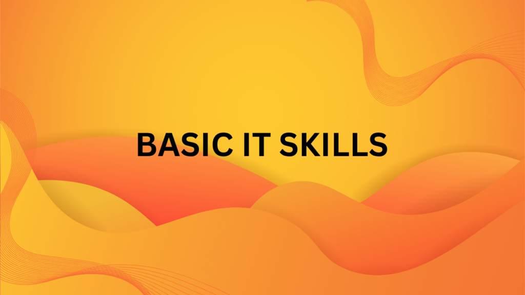 Basic IT skills